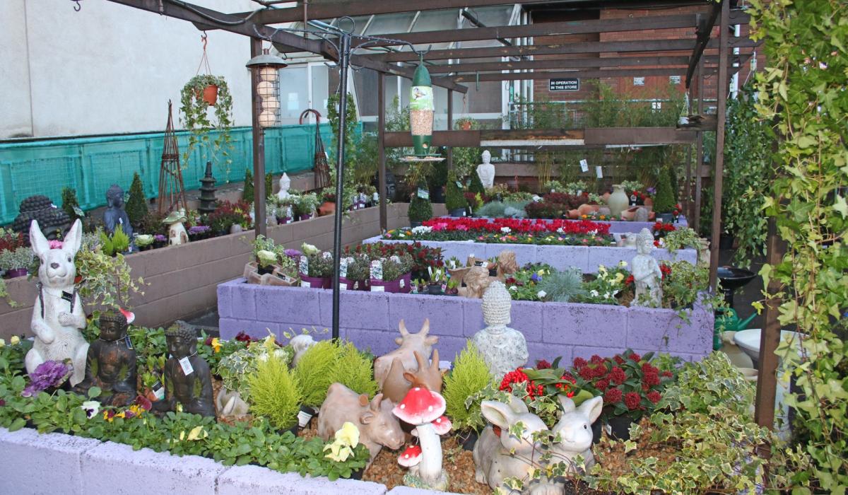 Charity shop grows its Limerick offering with garden store Limerick Live