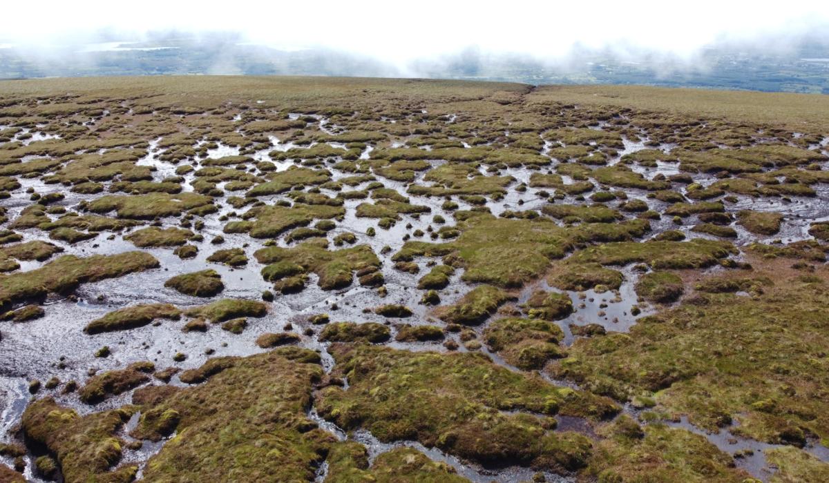 €20m funding approved to conserve 'vitally important' blanket bogs in
