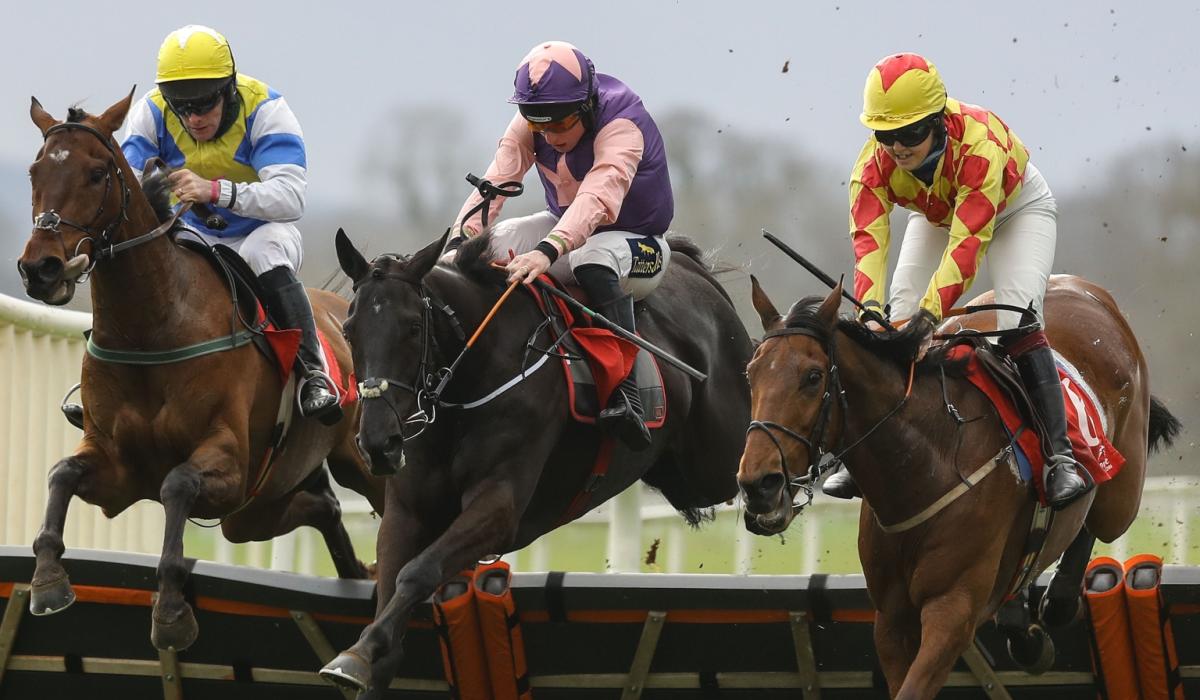 Limerick horse racing connections racking up the winners Limerick Live