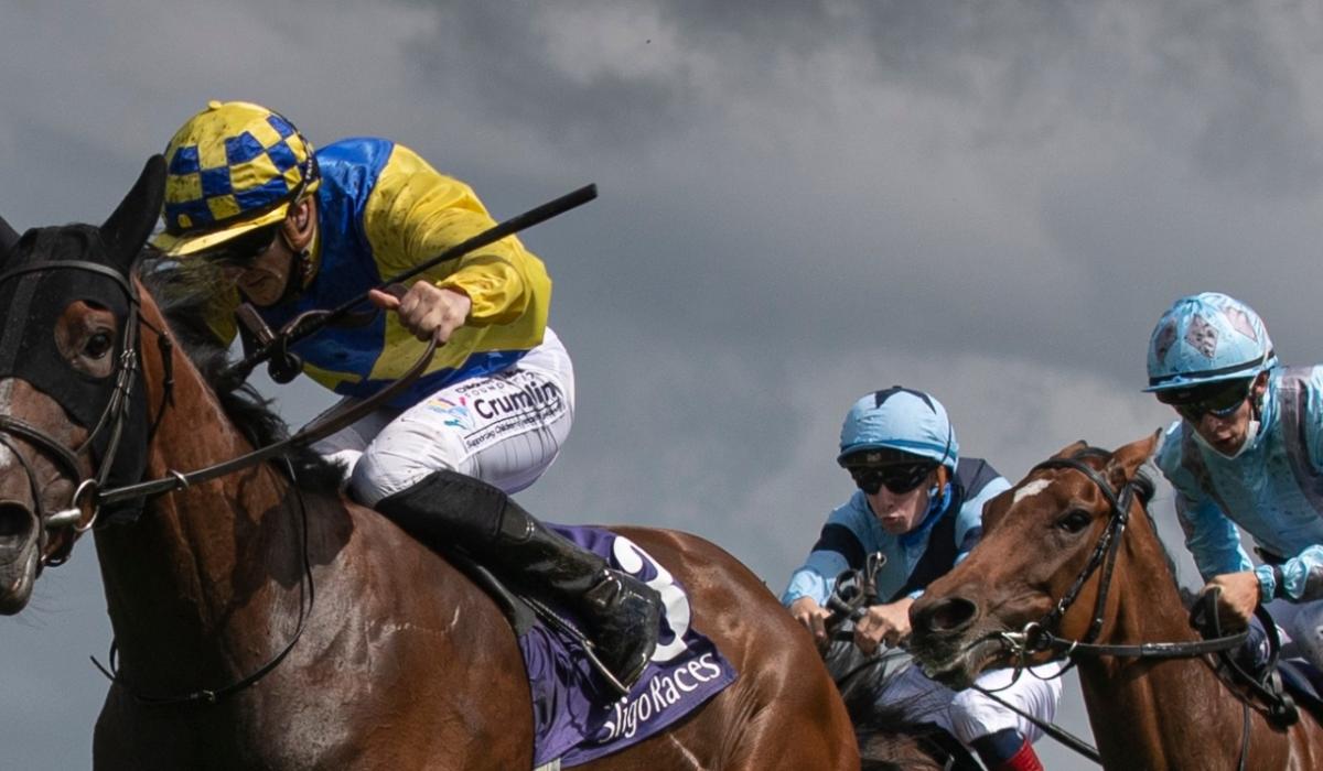 Winners flow for Limerick horse racing connections Limerick Live