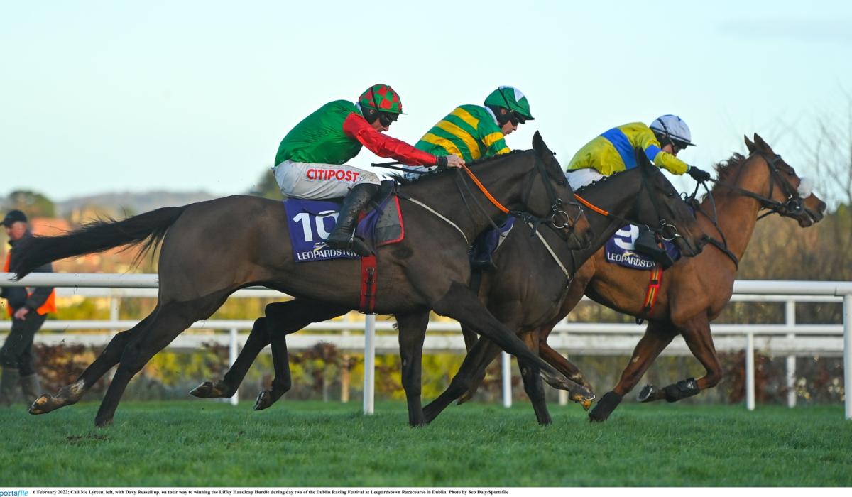 RACING Top tips and analysis for today's card at Leopardstown