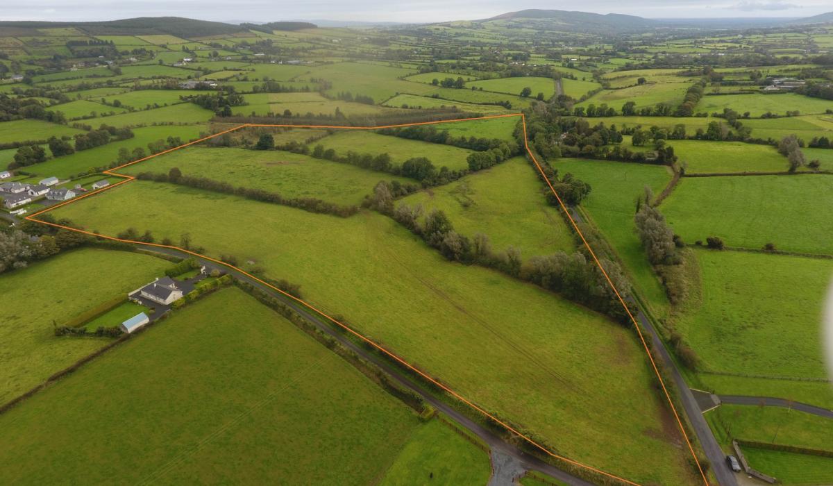 Forty acres of Limerick land guided at €260k ahead of online auction