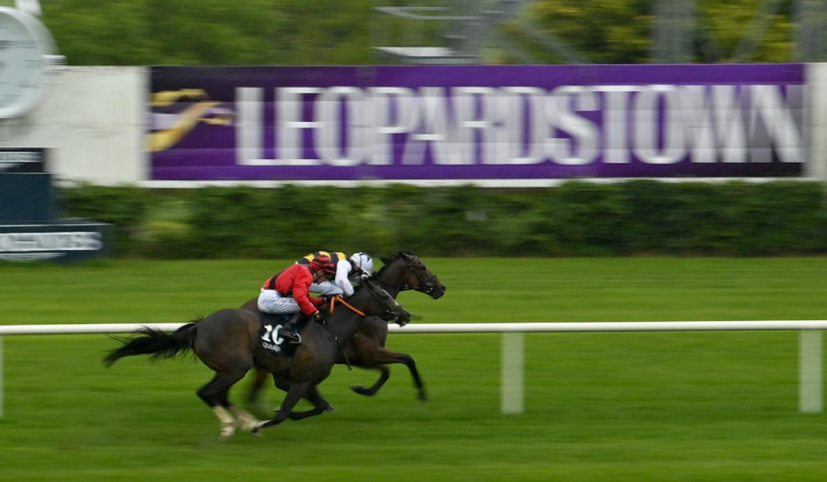 RACING: Your guide to Thursday’s action at Leopardstown - Limerick Live