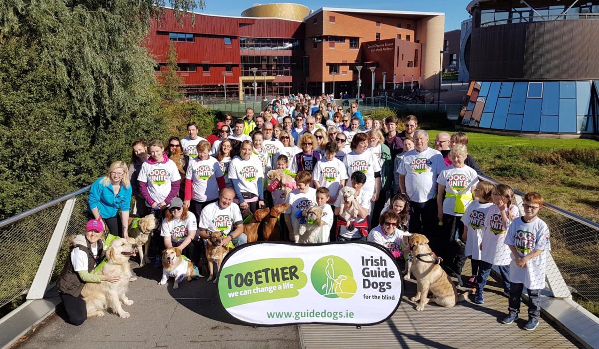 Limerick dogowners urged to walk their pets to support local charity