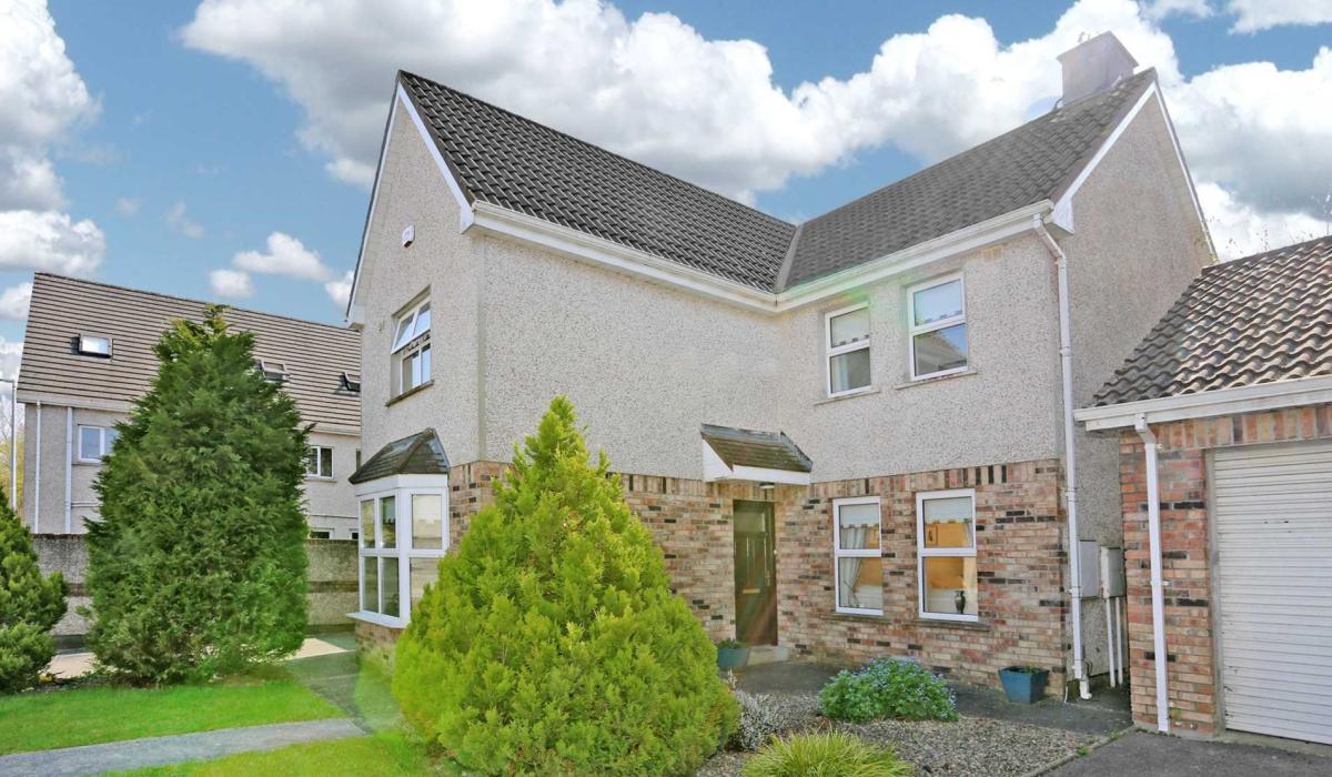 Limerick Property Watch Catch of the week at Salmon Weir Limerick Live