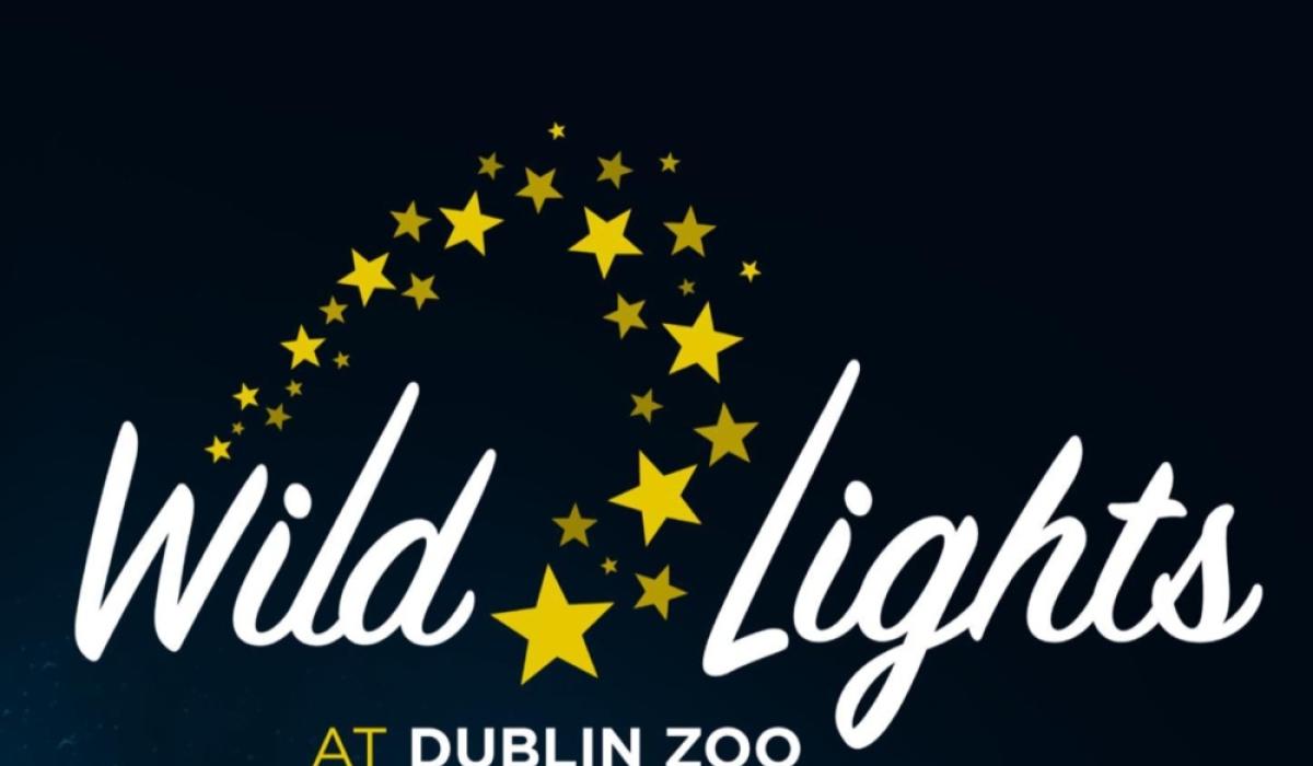 Events in Ireland this winter: Dublin Zoo's 'Wild Lights' return date