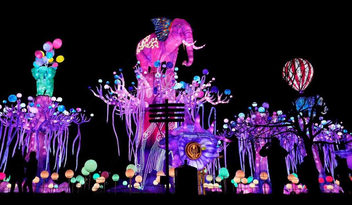 IN PICTURES Wild Lights at Dublin Zoo returns for 2023 with dazzling