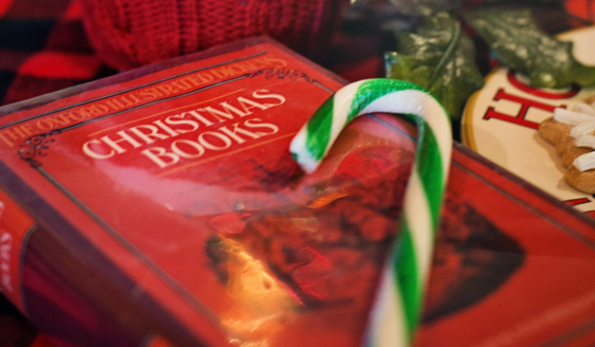 GIFT GUIDE 10 terrific children's books by Irish authors to buy this