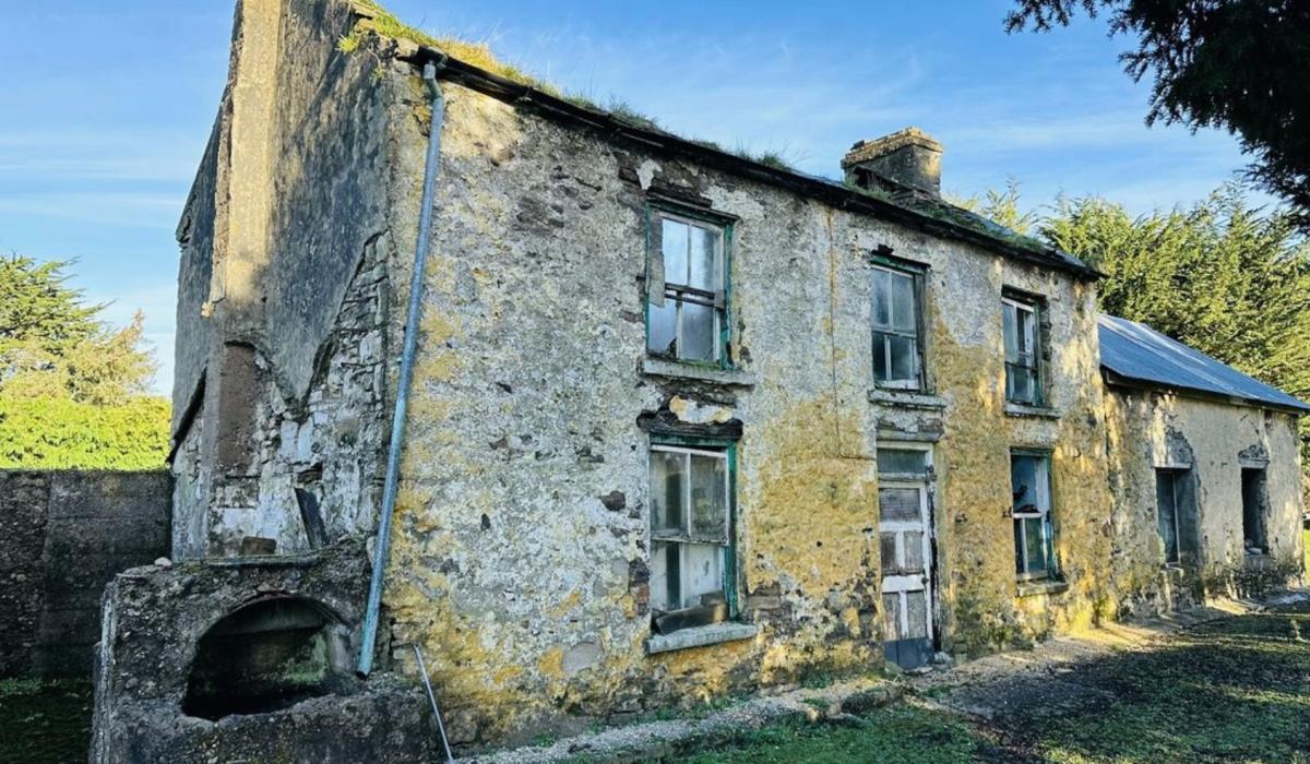 PICTURES Charming Limerick house for sale for just €65,000 needs new