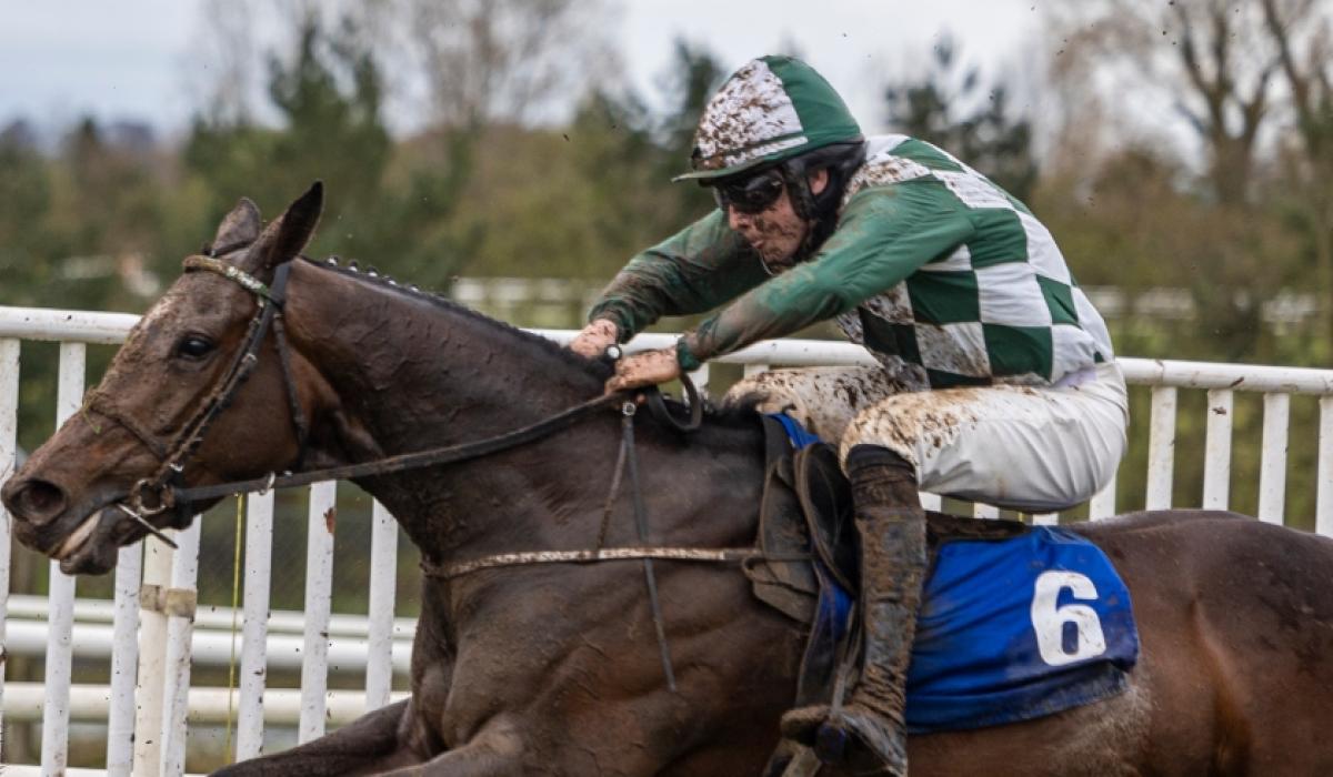 ballingarry-trained-winner-on-student-race-day-at-limerick-racecourse