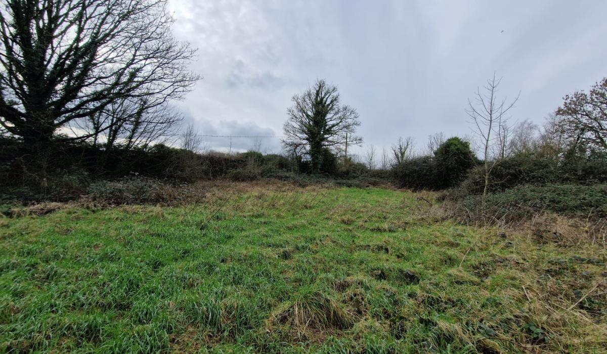 Denon CEOL RCD-N12: A Comprehensive Review of this Versatile, High