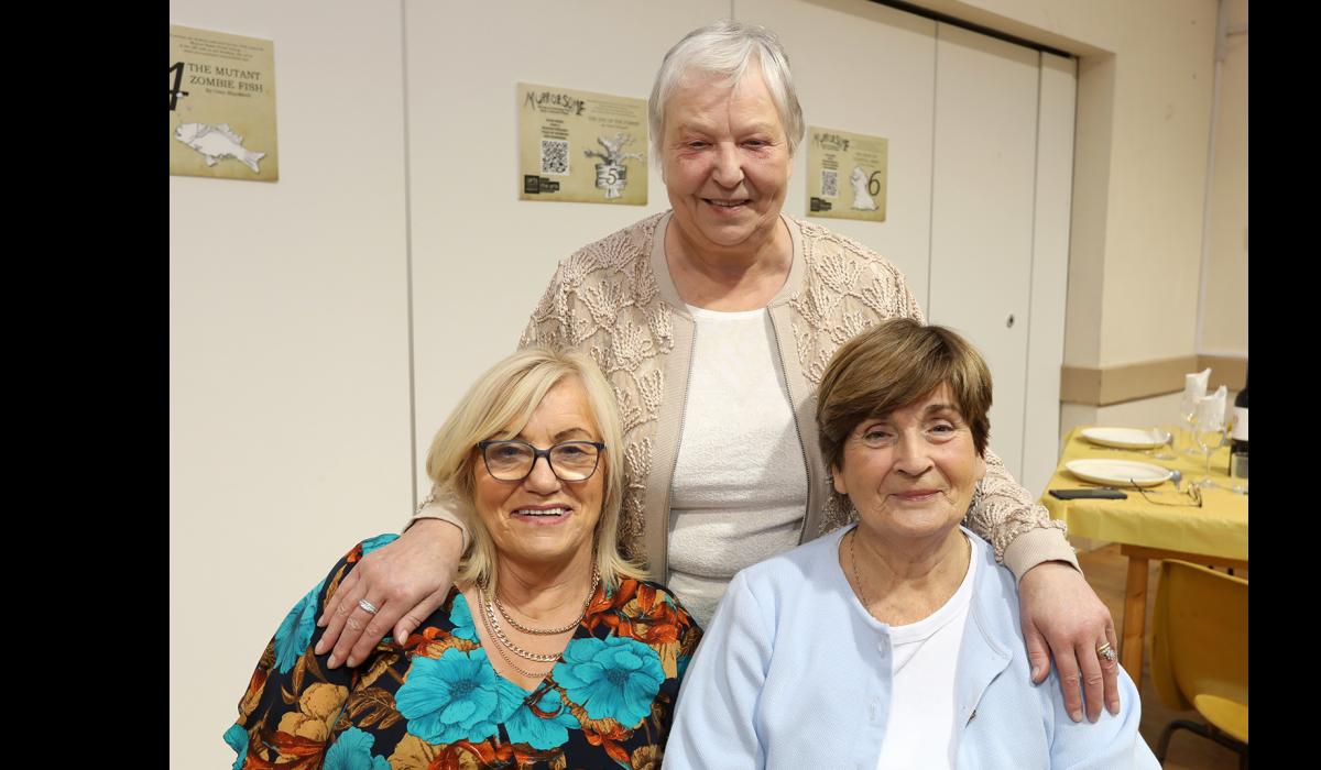 PICTURES: French Twinning Association visit County Limerick village ...