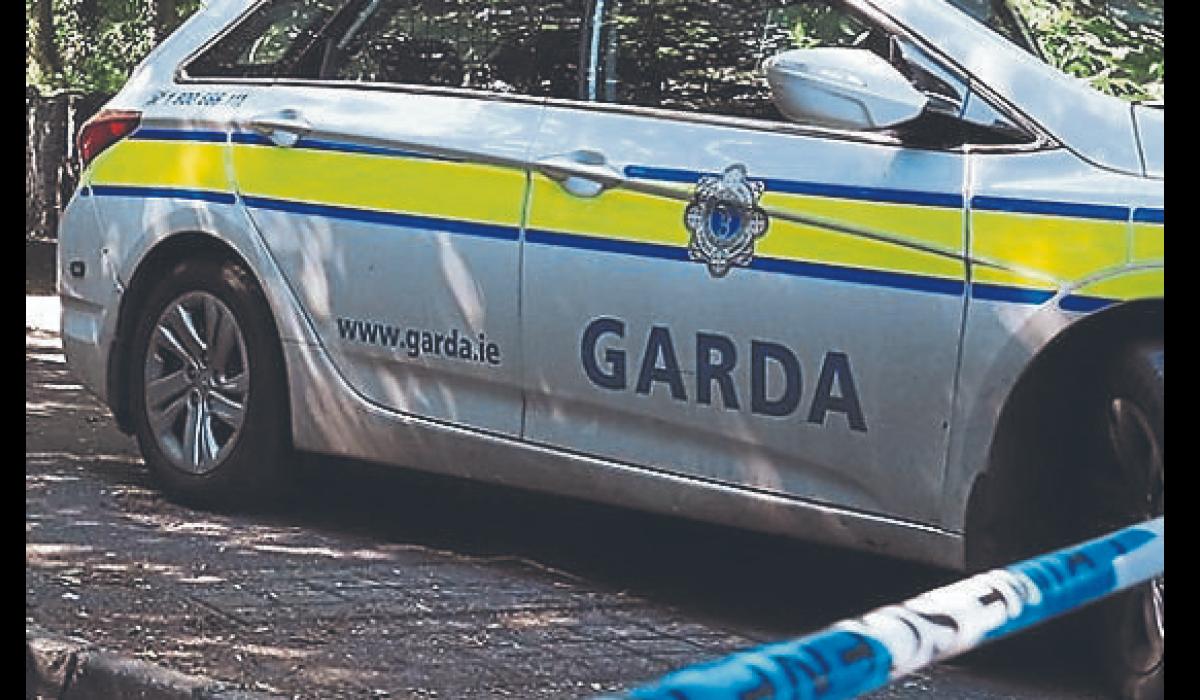 Gardaí appeal for witnesses to separate collisions in Limerick City and County