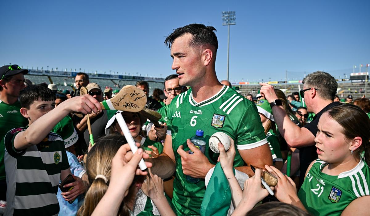 All-Star Limerick hurler Kyle Hayes announces he is 'seeking a new role'