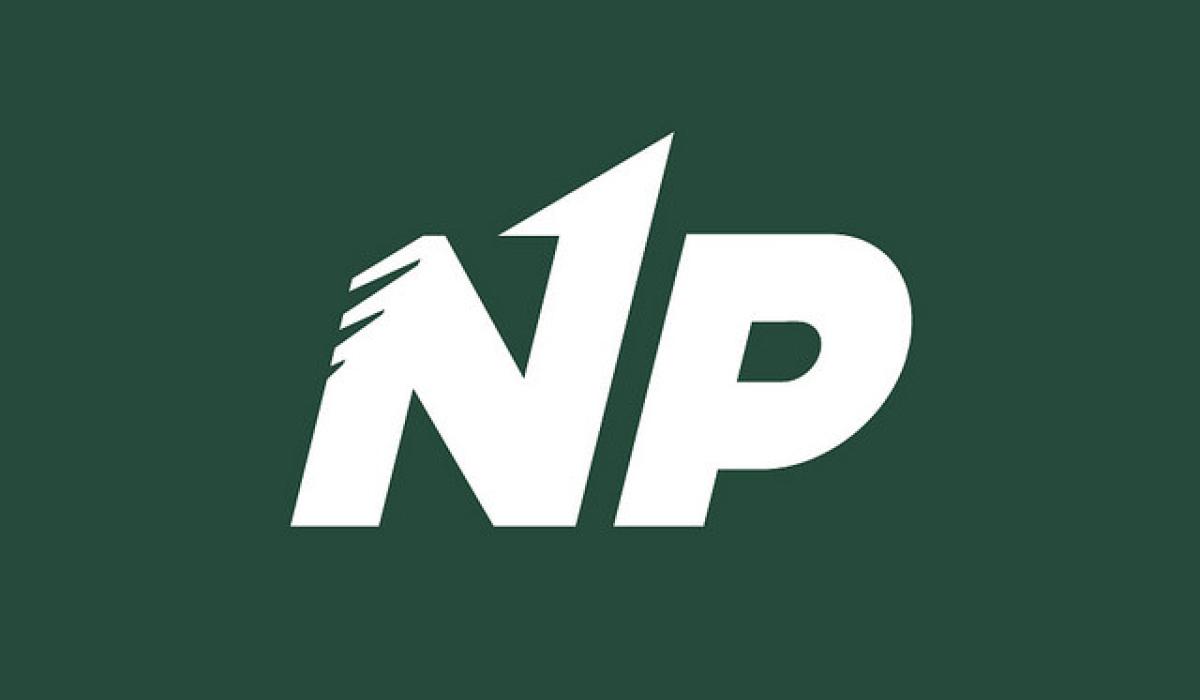 Flags erected in Limerick 'to try and create division in our community', councillor claims