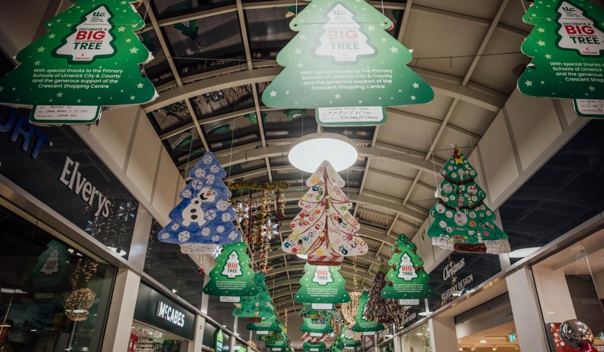 Schools across Limerick celebrate success in Team Limerick Cleanup tree competition