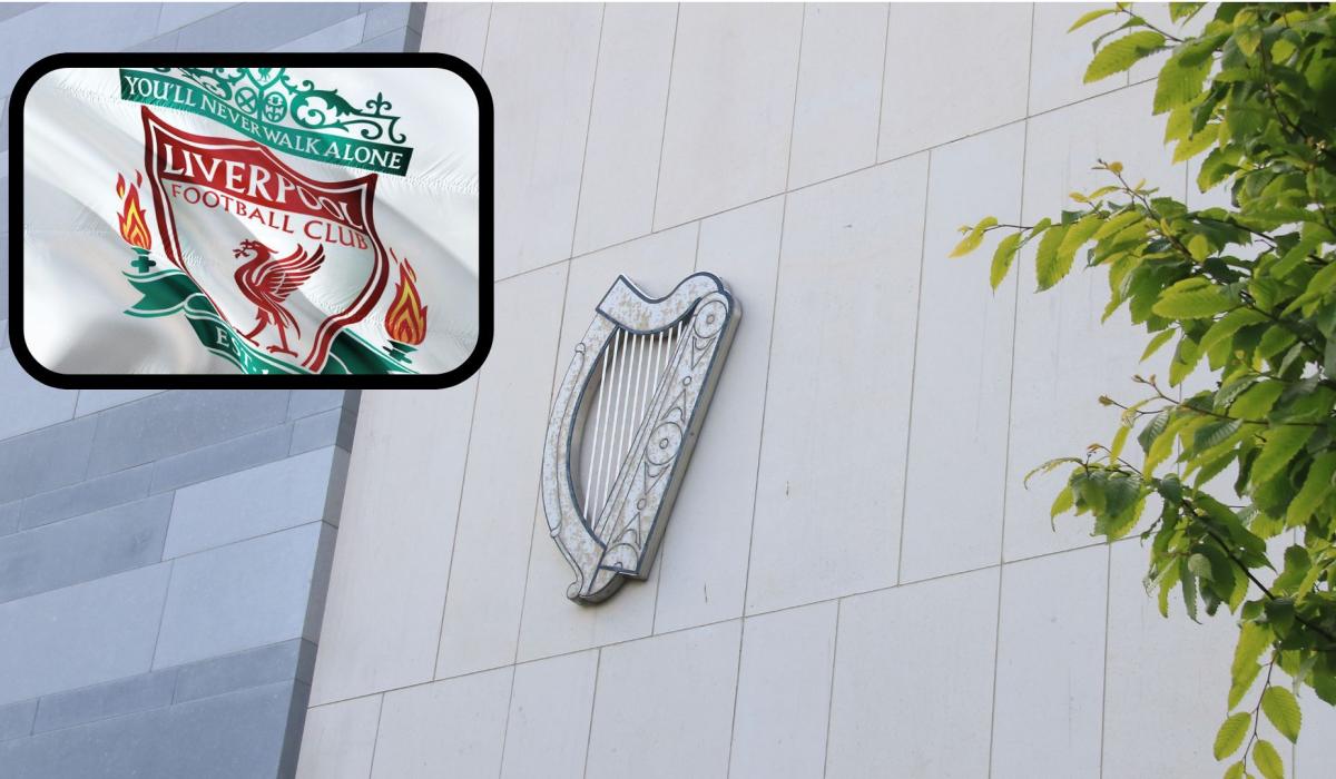 Woman who stole jersey from Limerick shop given until after Christmas to repay money