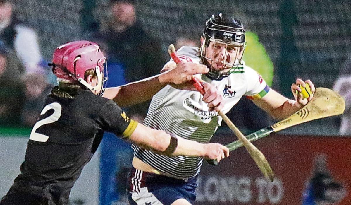 Limerick's TÚS Midwest open Fitzgibbon Cup campaign against UCD