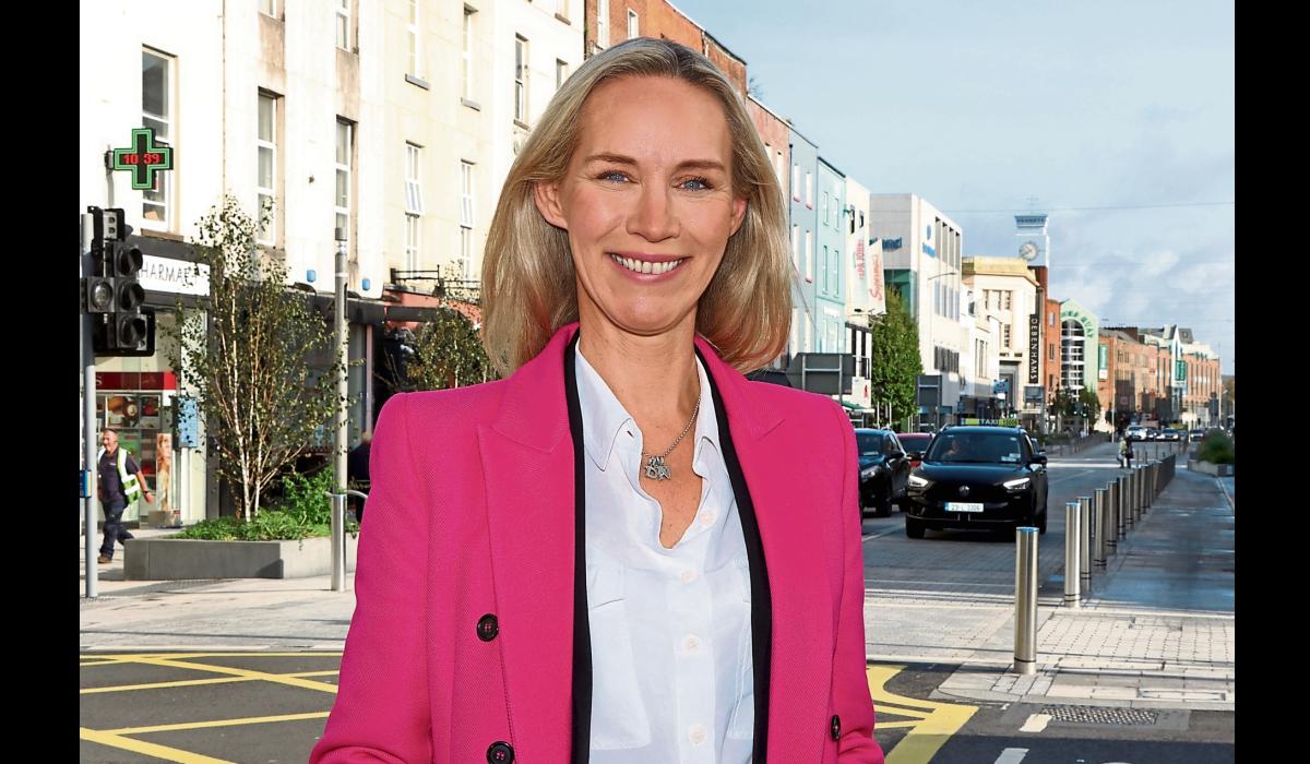 German delegation to visit Limerick during EU Presidency term