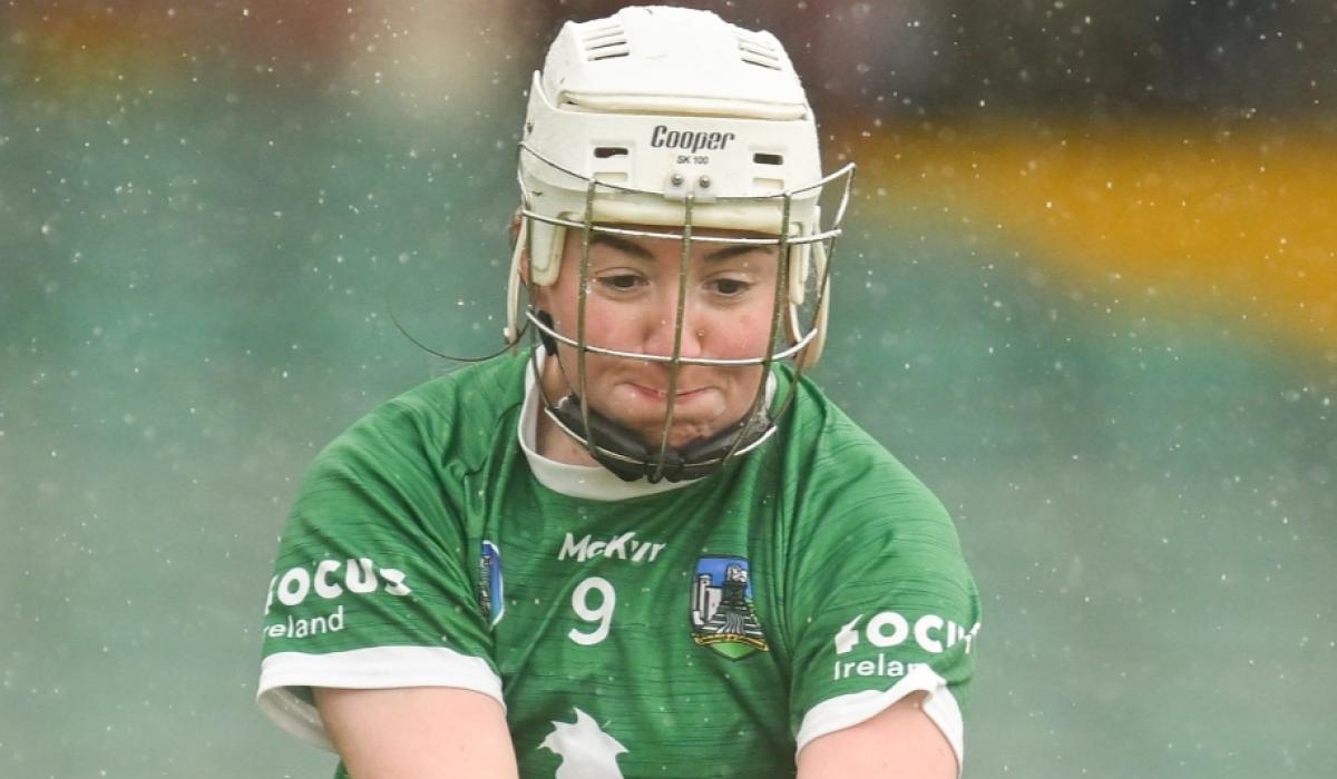 Limerick camogie star steps away from panel for 2026 season