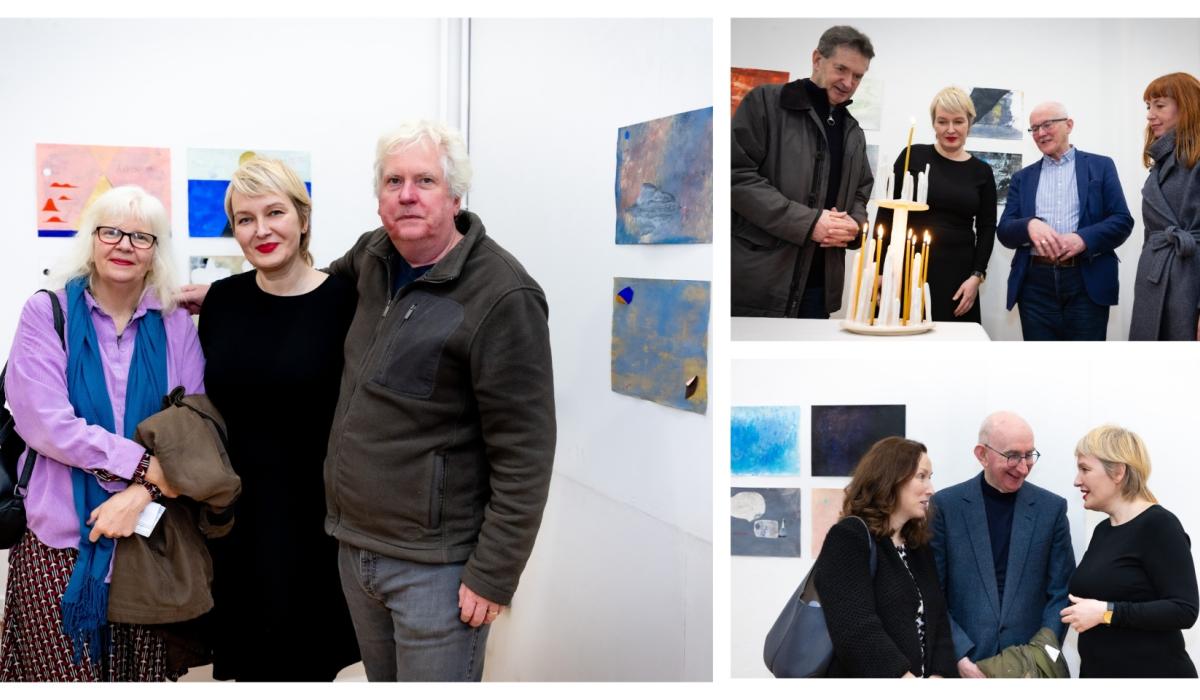 PICTURES: International artist unveils unique collection at the Limerick Museum