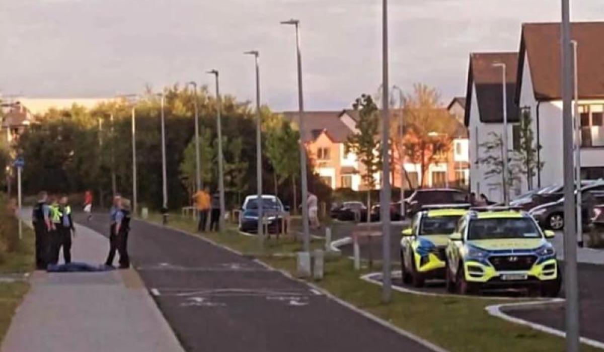 Praise for man who strangled dangerous pitbull following vicious attack in Limerick estate