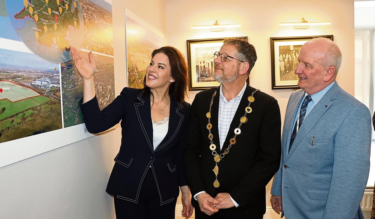 Minister says new top-level facility may be built near University Hospital Limerick