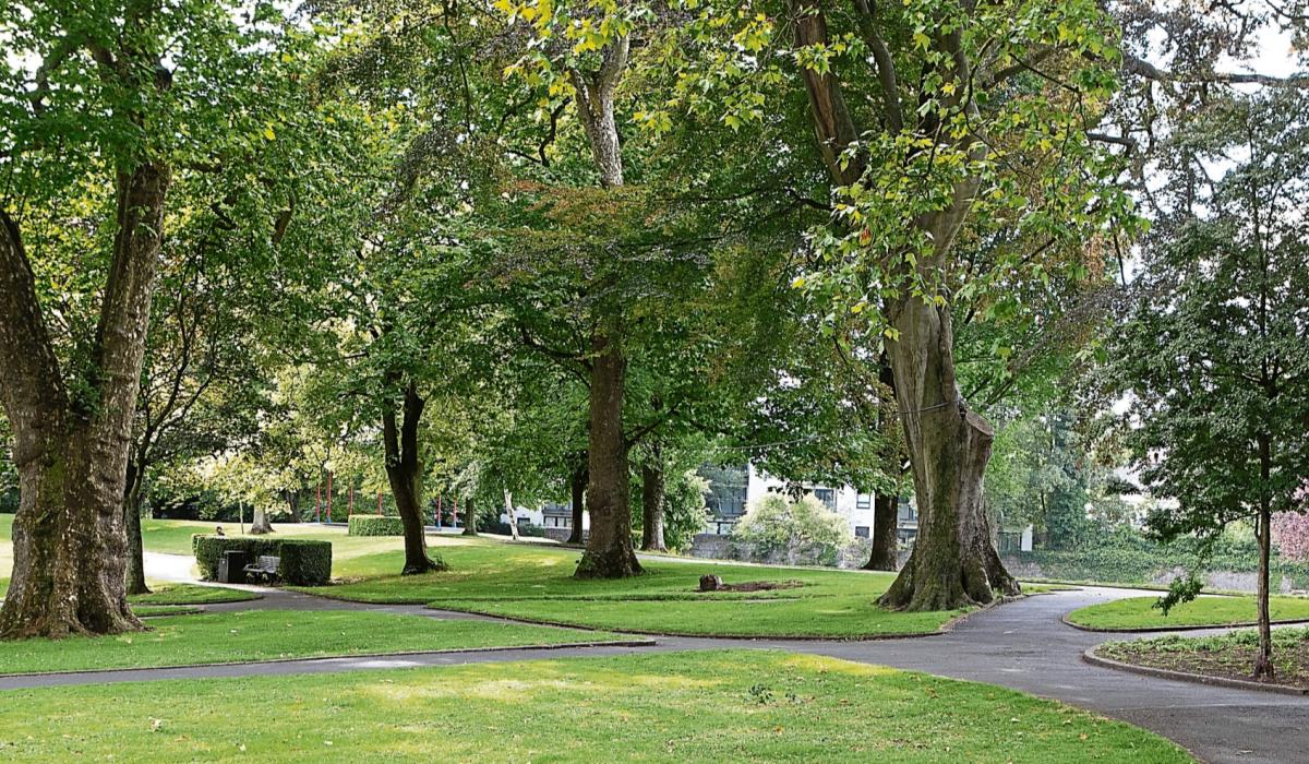 Free tree saplings offered across Limerick as part of National Tree Week