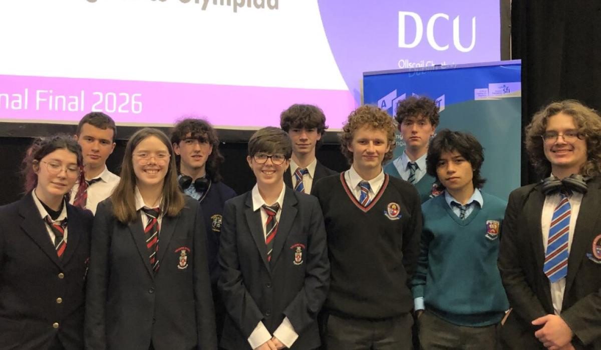 Limerick students reach Linguistics Olympiad national final