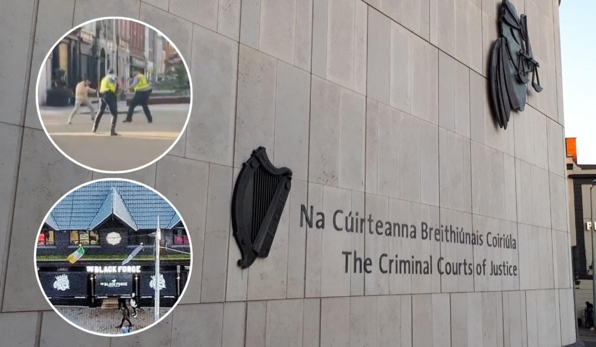 Self-described jihadist stabbed garda and set fire to Dublin pub owned by Conor McGregor