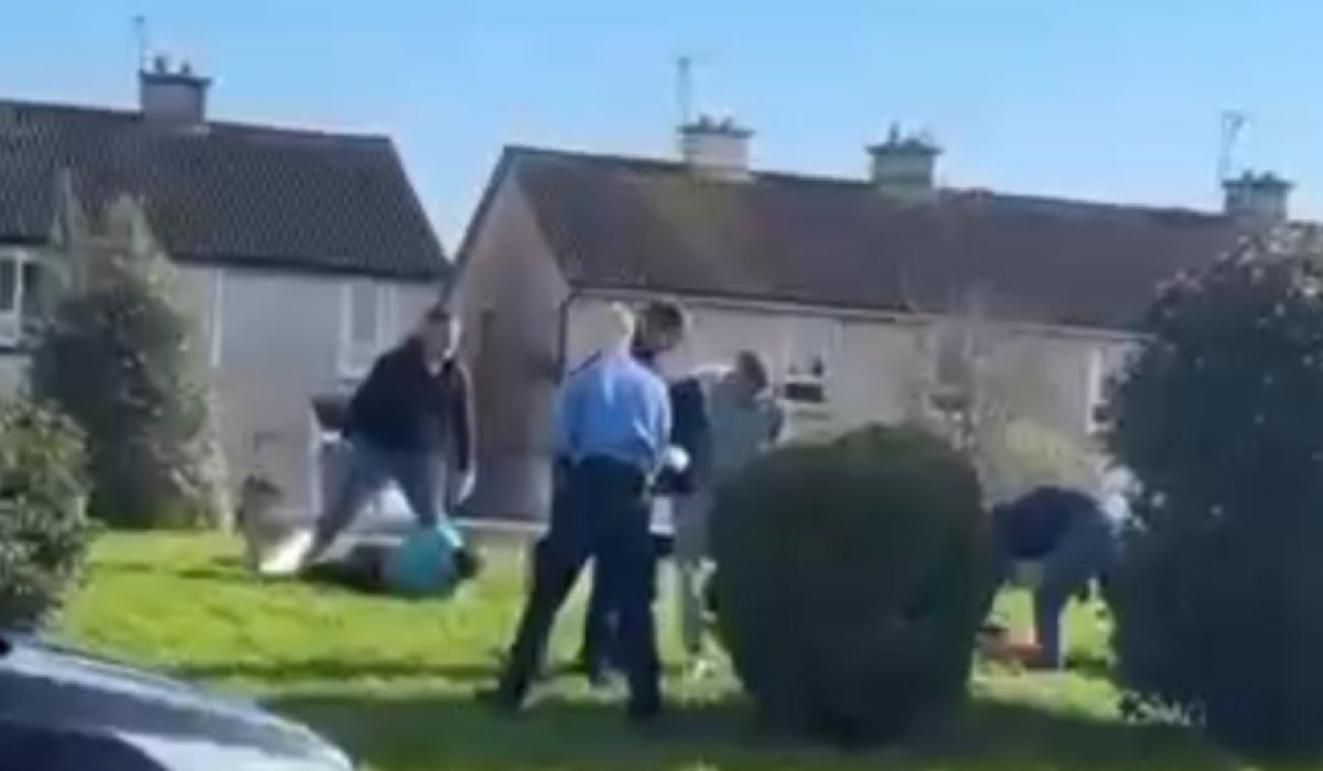 Gardai seize cannabis and cocaine after planned raids in Limerick village