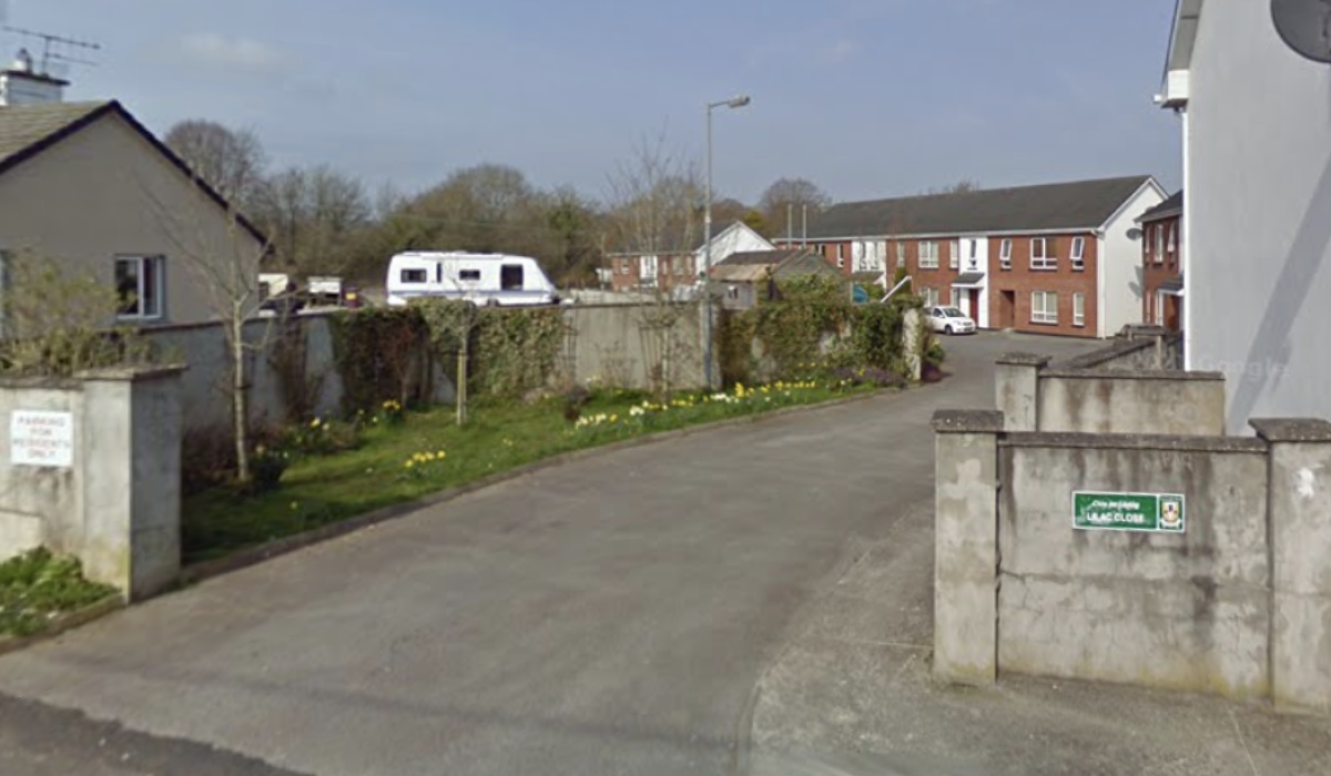 Housing body secures council-owned lands in Limerick town following 27-year 'delay'