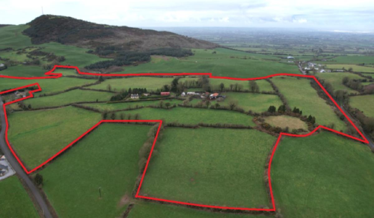 Residential farm extending to 46 acres in County Limerick sells at auction