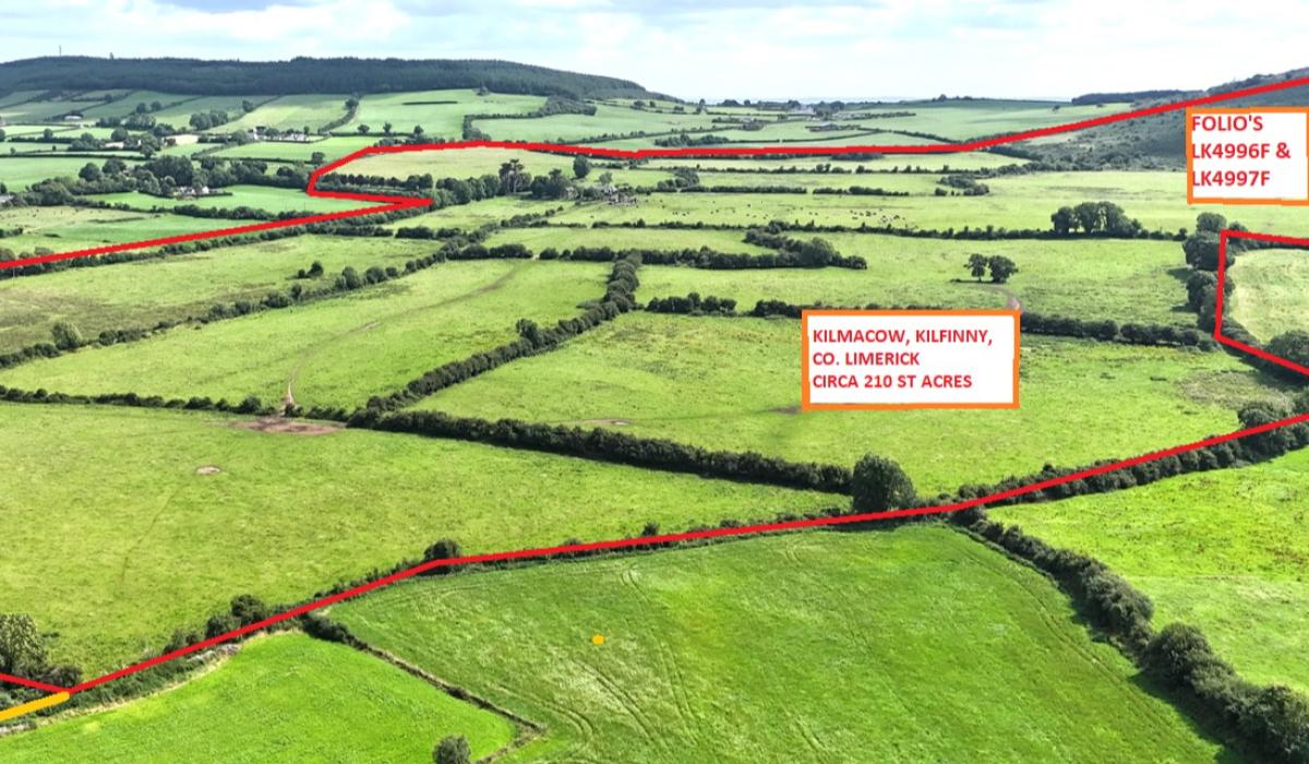 Dairy farmer wins the day at multimillion-euro auction of 210 acre Limerick farm 