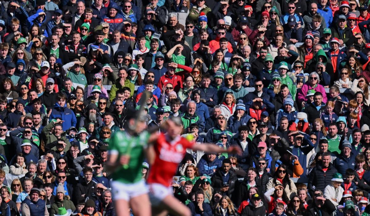 TLC success and league finals show Limerick at full strength