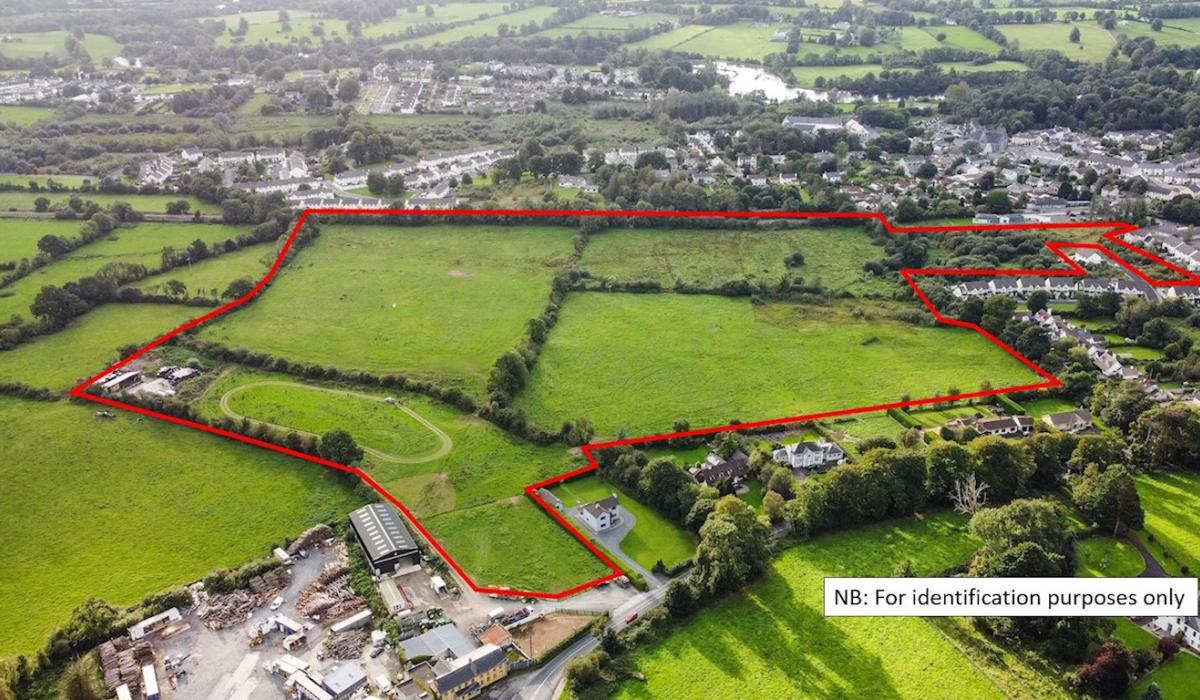 Land beside Limerick village sells for nearly €2million Limerick Live