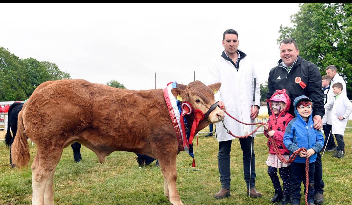 In Pictures: Charleville puts on a show as popular event makes welcome ...