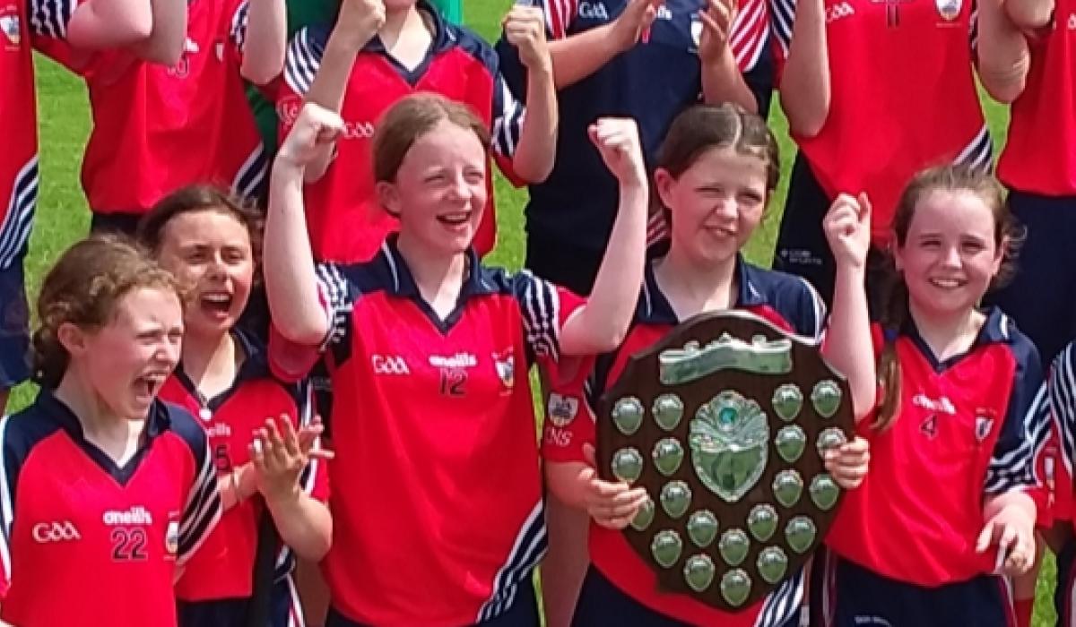 Doon girls Limerick schools camogie champions following Green and White