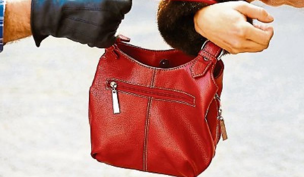 Грабеж. Грабеж. Вырвали сумку из рук. Сумочка женская. Кража сумки.