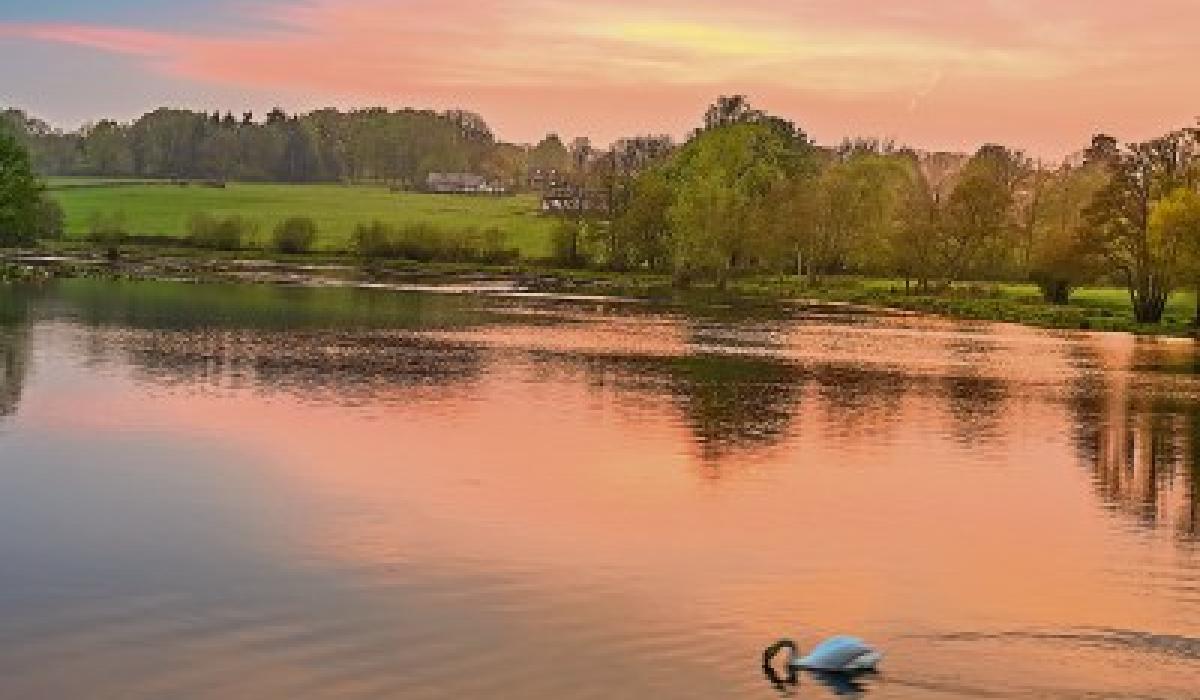 Out in the Open: Reputation, Reputation, Reputation, I have lost my ...