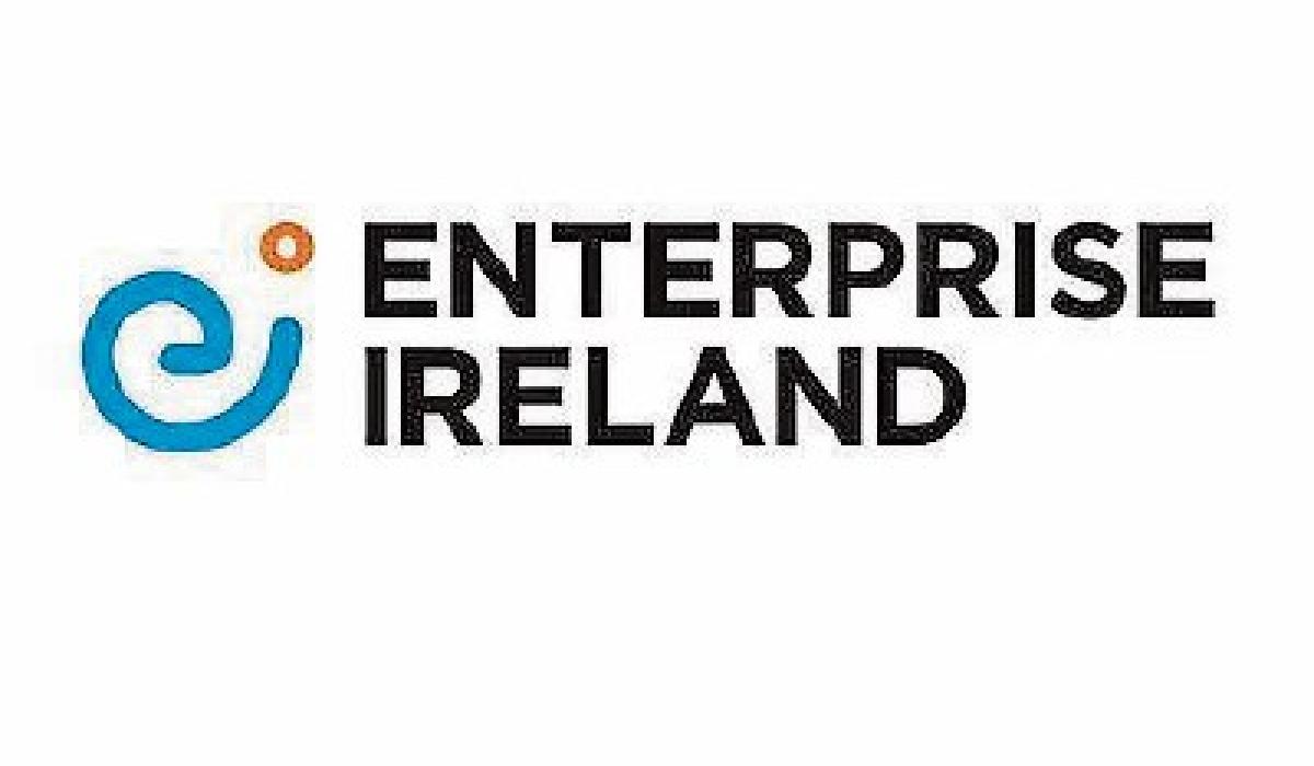 Enterprise Ireland Business Financial Planning Grant can assist