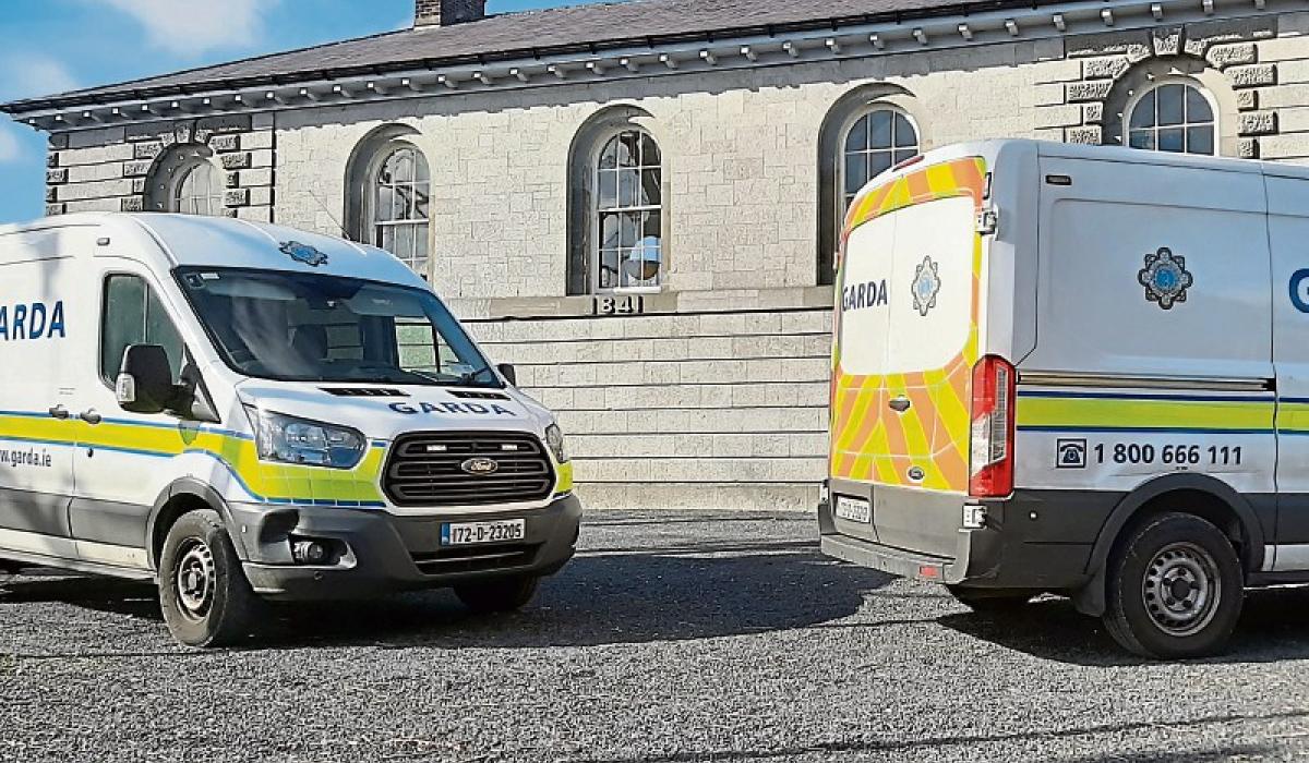 Limerick woman 'arrested for own safety' after abusing garda outside local kebab shop