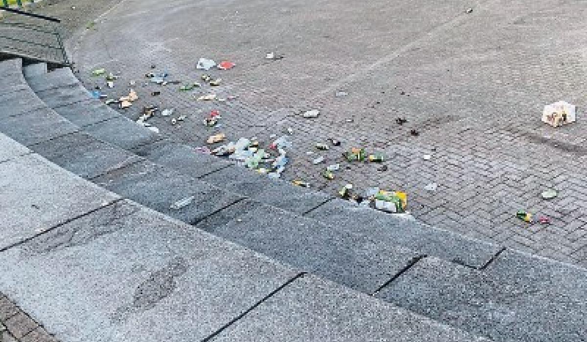 Extra bin collections added in Limerick after increase in littering