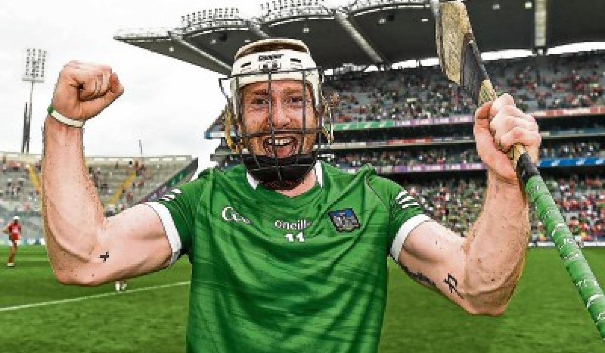 Limerick hurling success 'goes way beyond sport', says