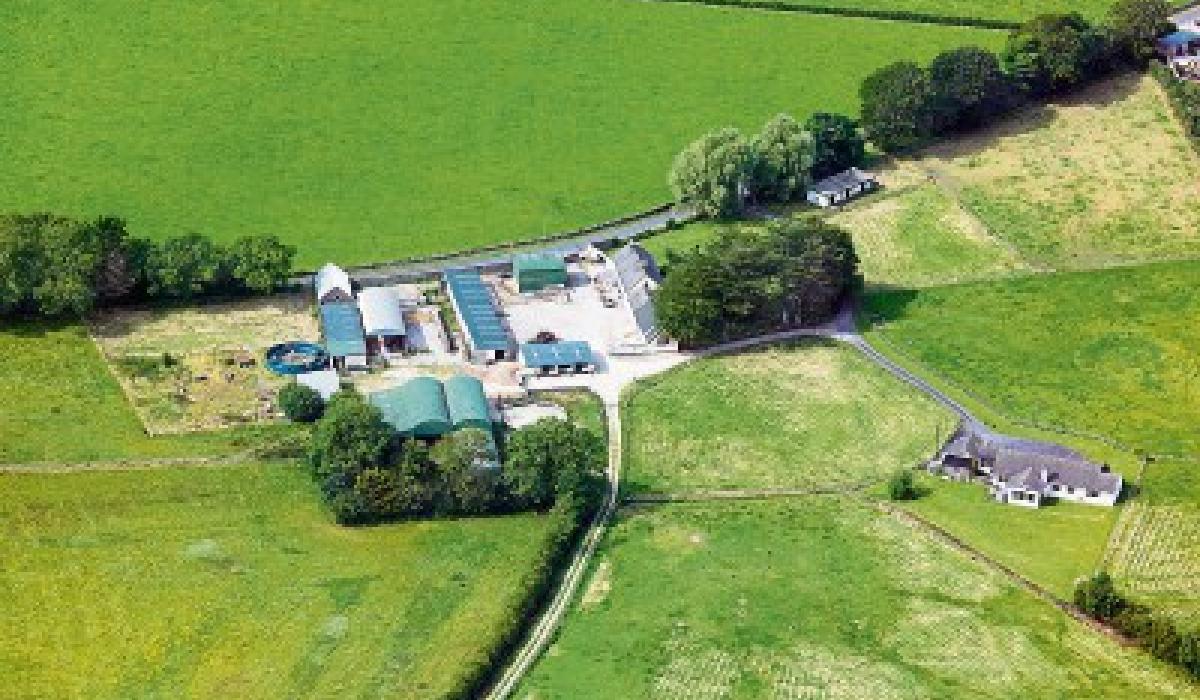 Limerick stud farm sells for over €1m at auction Limerick Live