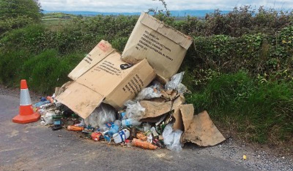 'Neanderthals' dump a load of rubbish in Limerick village days after