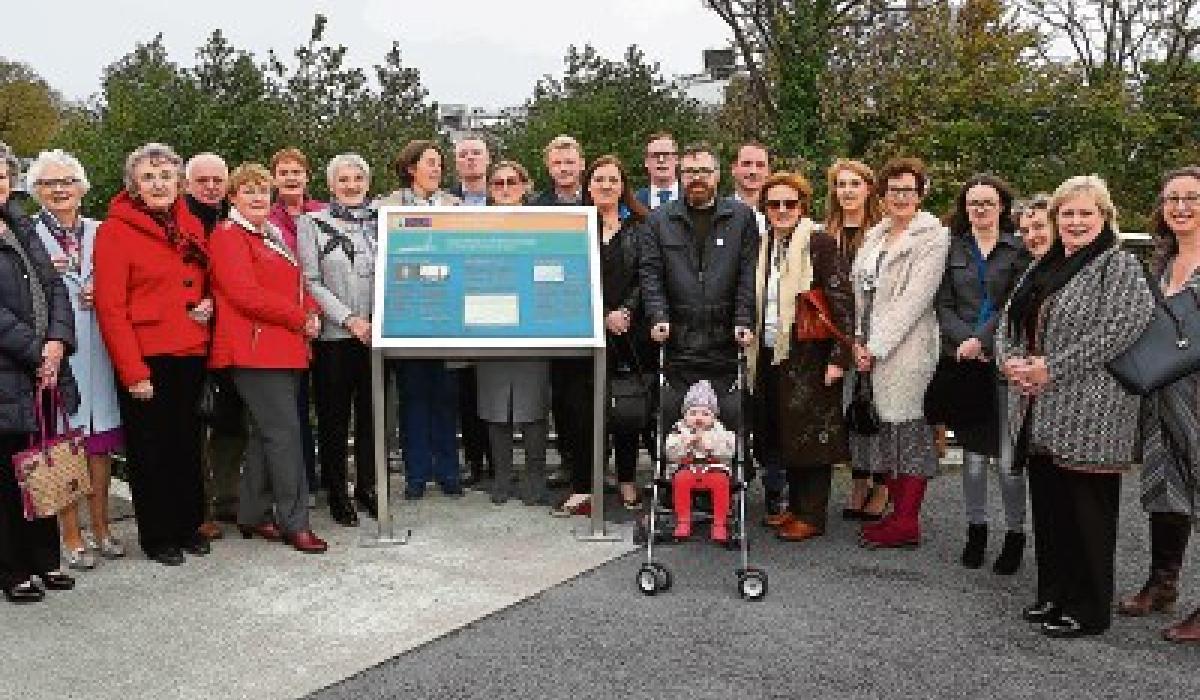 From Loughill to San Francisco with flair Engineering giant Michael M