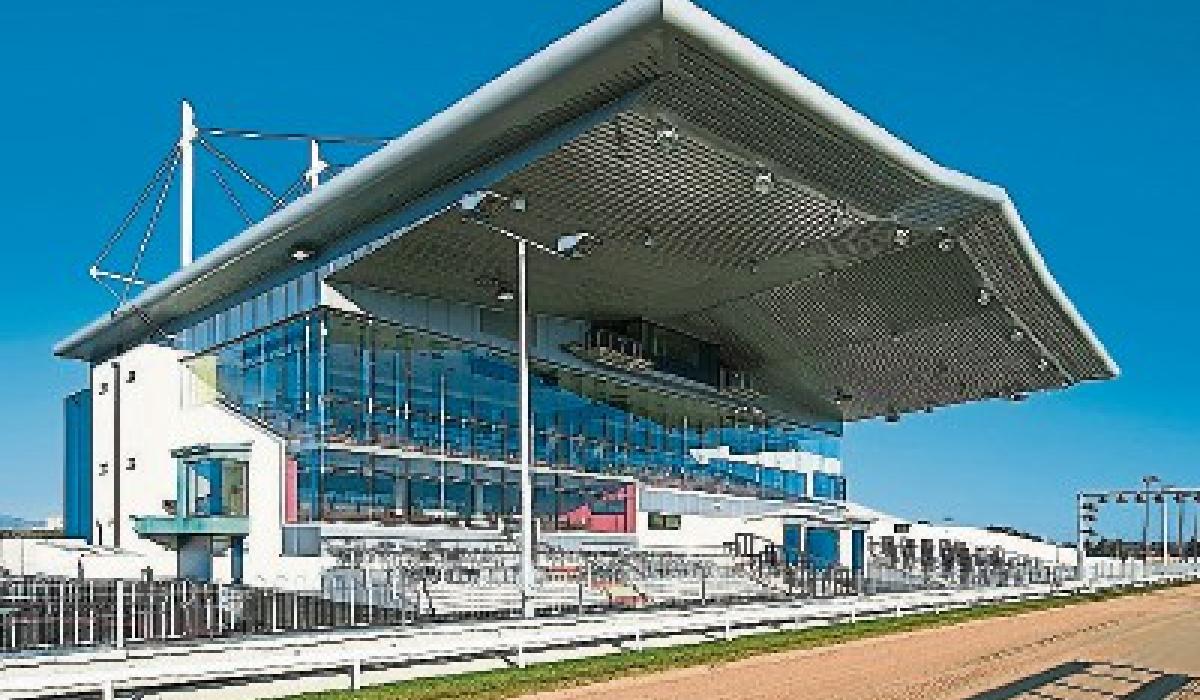 Eight dog racing to be explored in Limerick Greyhound Stadium