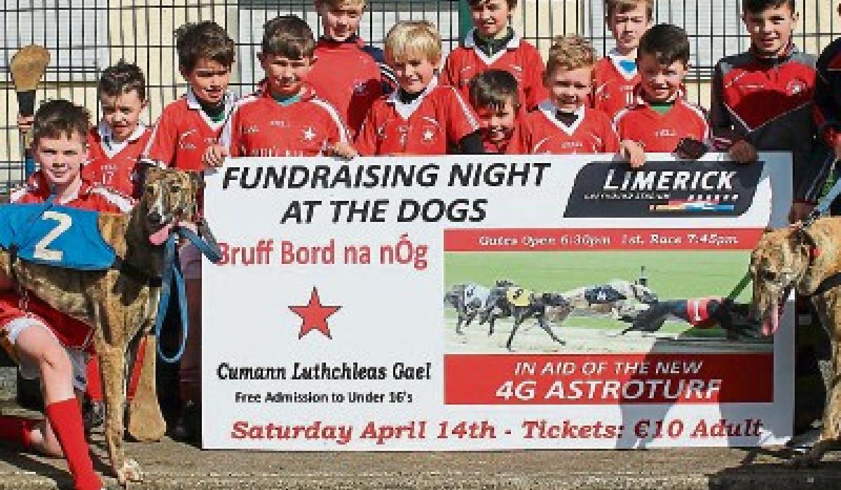 Limerick GAA club goes to the dogs for allweather pitch Limerick Live