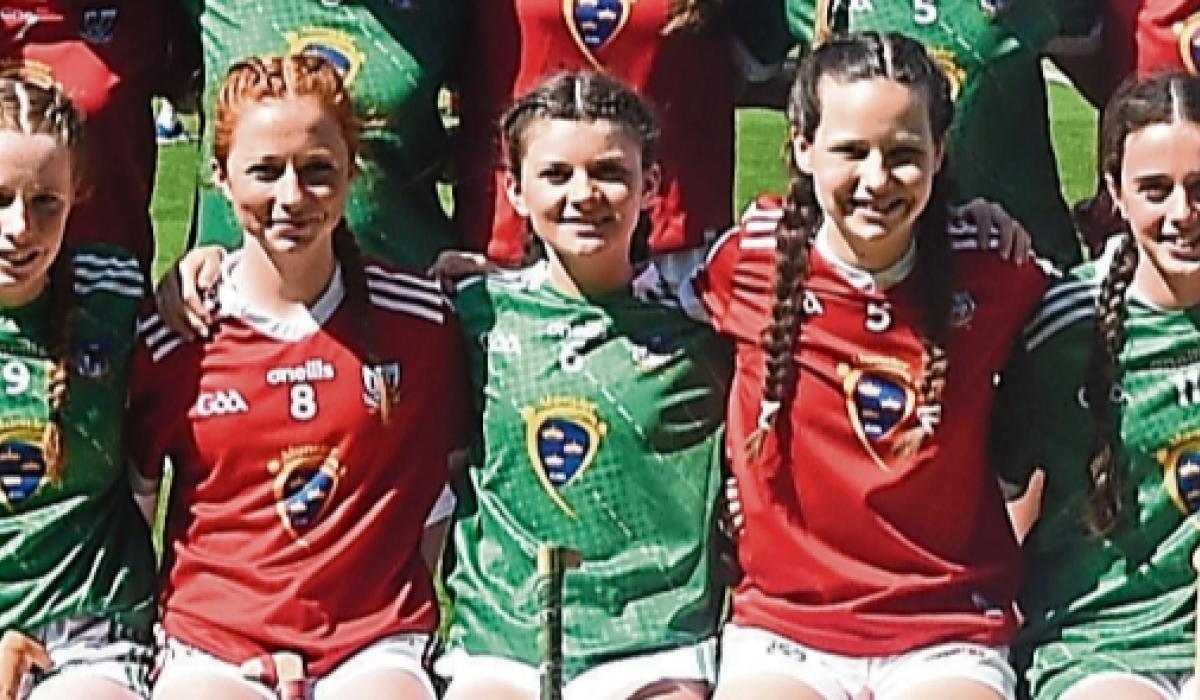 Budding Limerick stars to feature in Primary Game Limerick Live